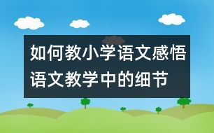 如何教小學(xué)語文：感悟語文教學(xué)中的細(xì)節(jié)