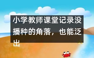 小學(xué)教師課堂記錄：沒播種的角落，也能泛出綠意