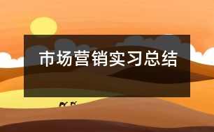 市場(chǎng)營(yíng)銷(xiāo)實(shí)習(xí)總結(jié)