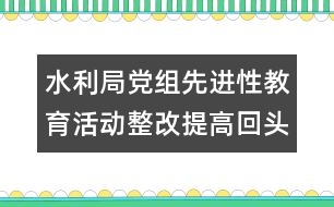 水利局黨組先進(jìn)性教育活動整改提高回頭看自查報告