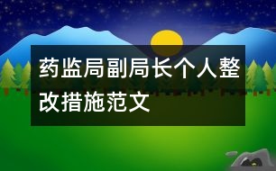 藥監(jiān)局副局長個(gè)人整改措施范文