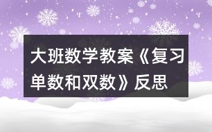 大班數學教案《復習單數和雙數》反思