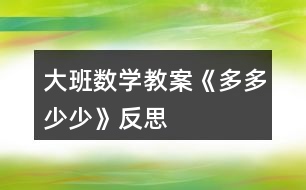 大班數(shù)學(xué)教案《多多少少》反思