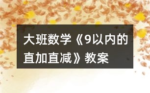 大班數(shù)學《9以內(nèi)的直加直減》教案