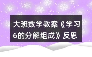 大班數(shù)學(xué)教案《學(xué)習(xí)6的分解組成》反思