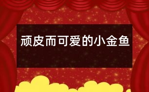 “頑皮”而可愛(ài)的小金魚(yú)