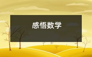 感悟數(shù)學