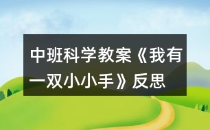 中班科學教案《我有一雙小小手》反思