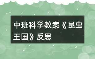 中班科學(xué)教案《昆蟲王國(guó)》反思