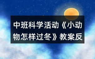 中班科學活動《小動物怎樣過冬》教案反思