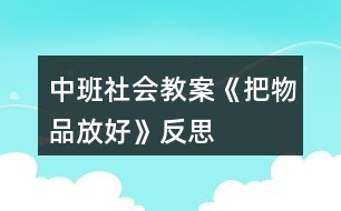 中班社會教案《把物品放好》反思