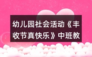 幼兒園社會活動《豐收節(jié)真快樂》中班教案反思