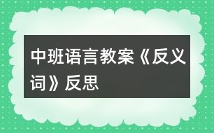 中班語言教案《反義詞》反思