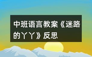 中班語(yǔ)言教案《迷路的丫丫》反思