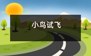 小鳥試飛