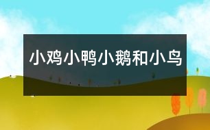 小雞、小鴨、小鵝和小鳥