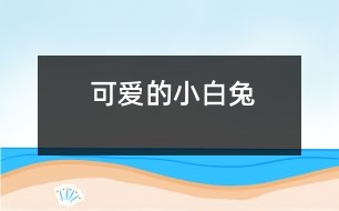 可愛(ài)的小白兔