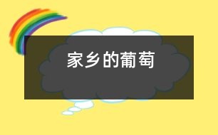 家鄉(xiāng)的葡萄