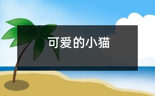 可愛的小貓