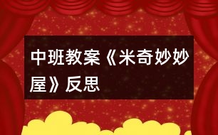 中班教案《米奇妙妙屋》反思