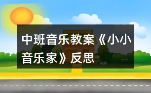 中班音樂教案《小小音樂家》反思