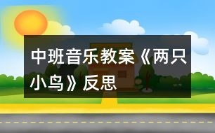 中班音樂(lè)教案《兩只小鳥(niǎo)》反思