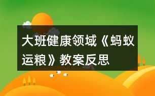 大班健康領(lǐng)域《螞蟻運糧》教案反思