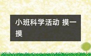 小班科學活動 摸一摸