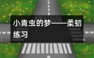 小青蟲的夢――柔韌練習