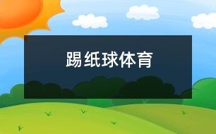 踢紙球（體育）