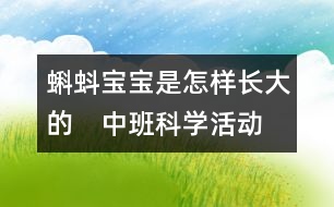 蝌蚪寶寶是怎樣長大的　（中班科學活動）