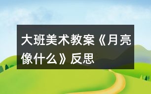 大班美術(shù)教案《月亮像什么》反思