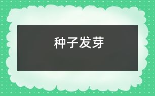 種子發(fā)芽