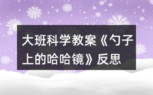 大班科學(xué)教案《勺子上的哈哈鏡》反思