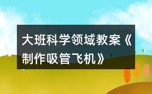 大班科學領域教案《制作吸管飛機》