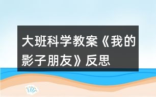 大班科學(xué)教案《我的影子朋友》反思