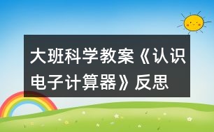 大班科學(xué)教案《認(rèn)識電子計算器》反思