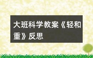 大班科學(xué)教案《輕和重》反思