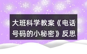 大班科學教案《電話號碼的小秘密》反思