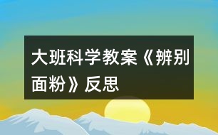 大班科學教案《辨別面粉》反思