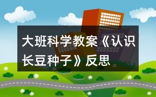 大班科學(xué)教案《認(rèn)識(shí)長(zhǎng)豆種子》反思