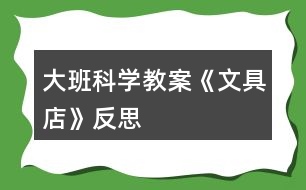 大班科學教案《文具店》反思