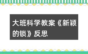 大班科學教案《新穎的鎖》反思