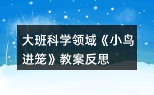 大班科學(xué)領(lǐng)域《小鳥進(jìn)籠》教案反思