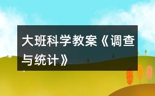 大班科學教案《調(diào)查與統(tǒng)計》