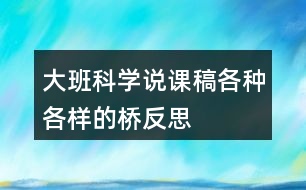 大班科學說課稿各種各樣的橋反思