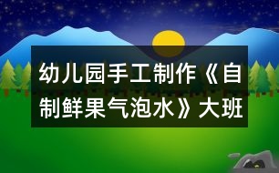 幼兒園手工制作《自制鮮果氣泡水》大班科學(xué)教案