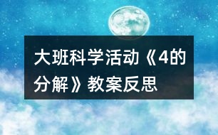 大班科學(xué)活動(dòng)《4的分解》教案反思