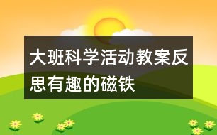 大班科學(xué)活動教案反思有趣的磁鐵