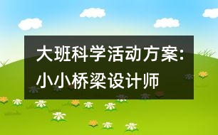 大班科學活動方案:小小橋梁設(shè)計師